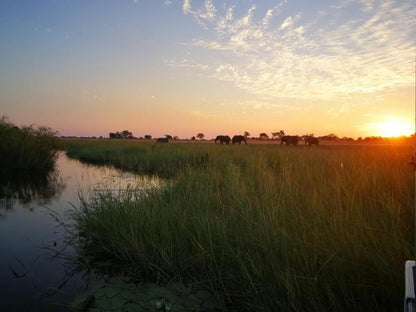 Kazondwe Camp And Lodge, Lowland, Nature