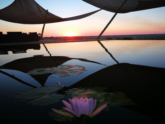 Kazondwe Camp And Lodge, Boat, Vehicle, Lake, Nature, Waters