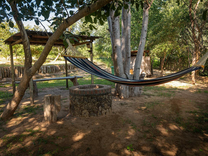 Kazondwe Camp And Lodge, Camp Site, Tree, Plant, Nature, Wood