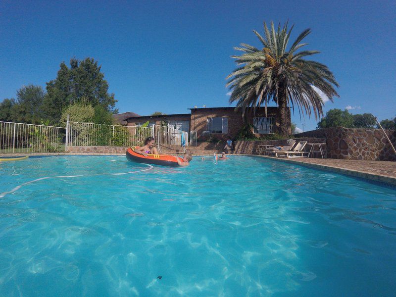 Kearneys Guest Farm Groot Marico North West Province South Africa Palm Tree, Plant, Nature, Wood, Swimming Pool
