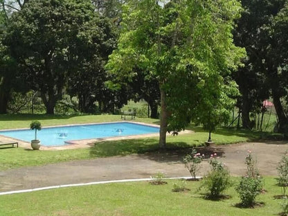 Kearsney Manor Guesthouse, Tree, Plant, Nature, Wood, Garden, Swimming Pool