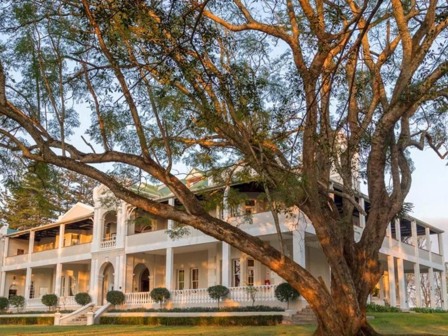 Kearsney Manor Guesthouse, House, Building, Architecture, Plant, Nature