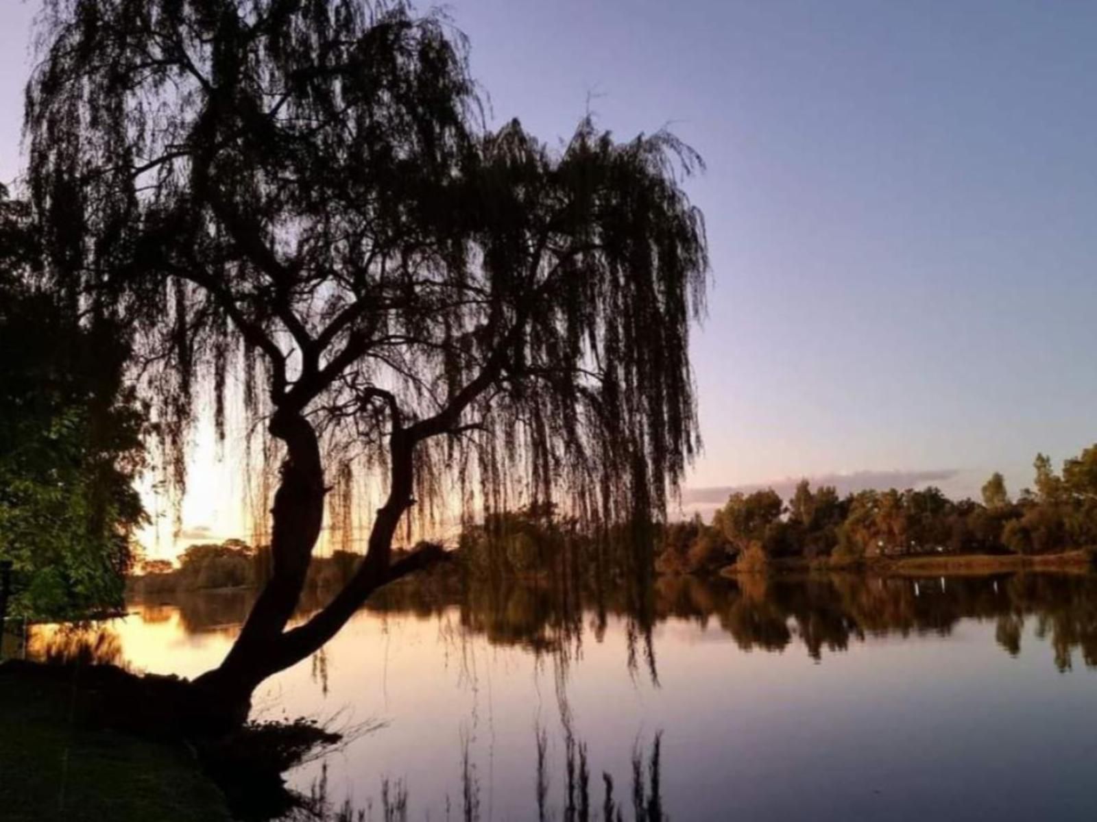 Kedu River Lodge, River, Nature, Waters, Tree, Plant, Wood