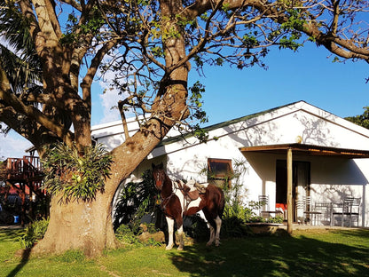 Kei Mouth Guest Lodge Kei Mouth Eastern Cape South Africa Complementary Colors, House, Building, Architecture