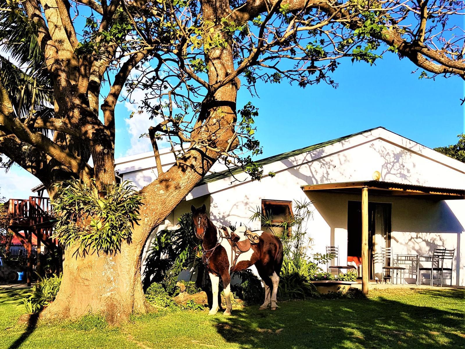 Kei Mouth Guest Lodge Kei Mouth Eastern Cape South Africa Complementary Colors, House, Building, Architecture