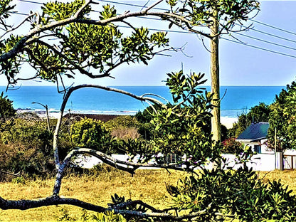 Kei Mouth Guest Lodge Kei Mouth Eastern Cape South Africa Complementary Colors, Beach, Nature, Sand, Palm Tree, Plant, Wood