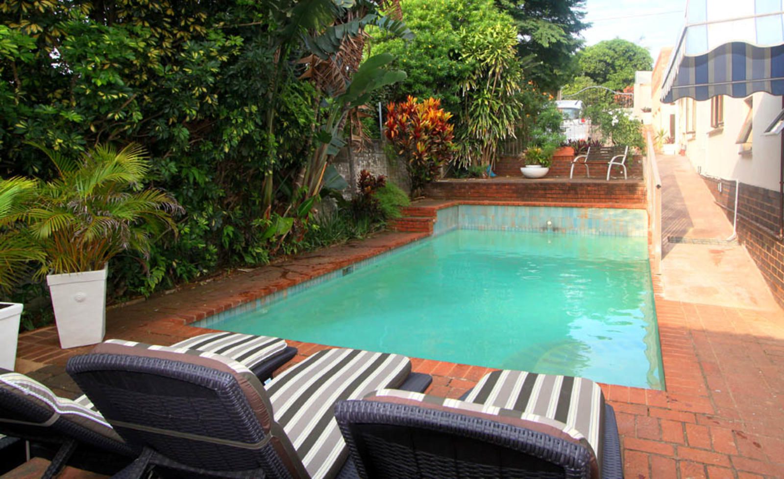 Kelvin Lodge And Spa Durban North Durban Kwazulu Natal South Africa House, Building, Architecture, Garden, Nature, Plant, Swimming Pool