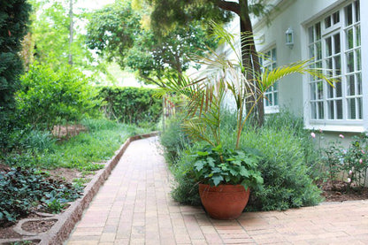 Kelyn Self Catering Golden Hill Somerset West Western Cape South Africa Palm Tree, Plant, Nature, Wood, Garden