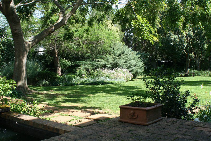 Kelyn Self Catering Golden Hill Somerset West Western Cape South Africa Plant, Nature, Garden