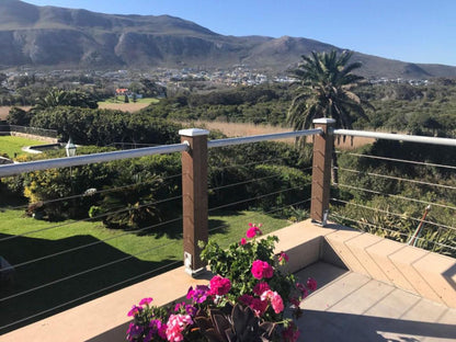 Kennedy S Beach Villa Onrus Hermanus Western Cape South Africa Palm Tree, Plant, Nature, Wood, Garden