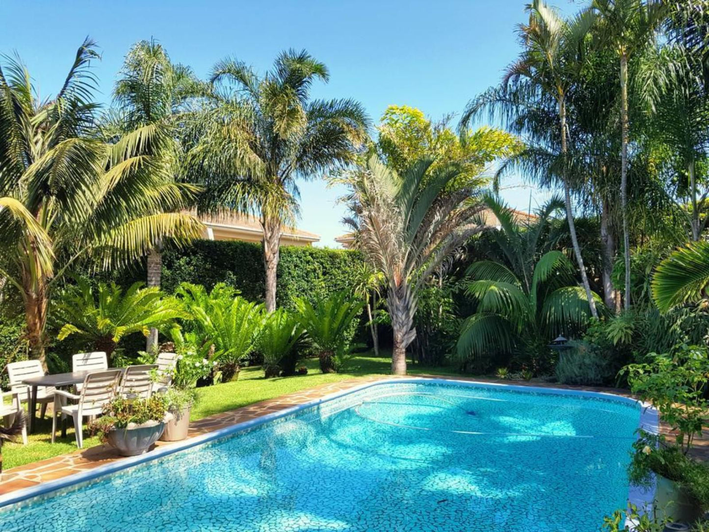 Kennington Palms Nahoon East London Eastern Cape South Africa Complementary Colors, Palm Tree, Plant, Nature, Wood, Garden, Swimming Pool