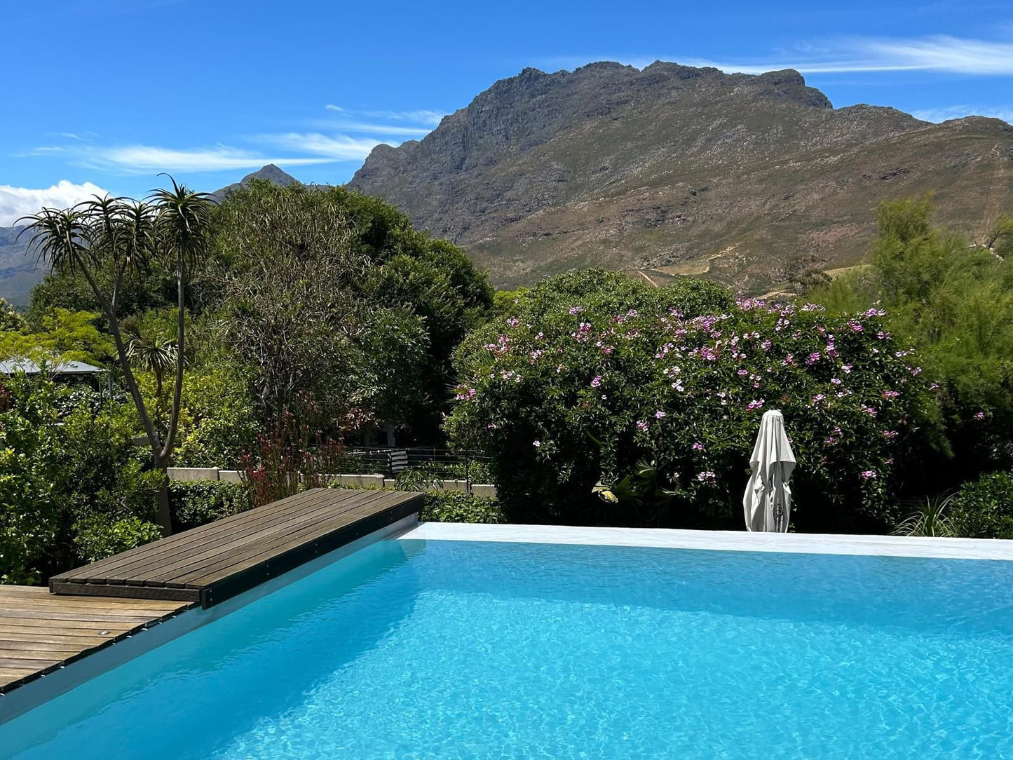 Keren S Vine Stellenbosch Western Cape South Africa Garden, Nature, Plant, Swimming Pool