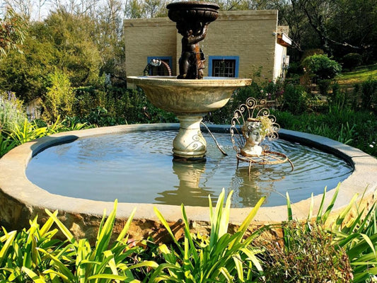 Keurfontein Country House Willowmore Eastern Cape South Africa Fountain, Architecture, Garden, Nature, Plant, Swimming Pool