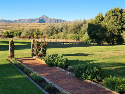 Kevacy Farm Lodge Clarens Free State South Africa Complementary Colors, Garden, Nature, Plant