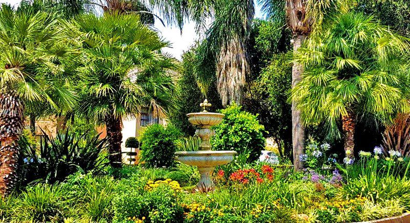 Key West Condo Broederstroom Hartbeespoort North West Province South Africa Palm Tree, Plant, Nature, Wood, Garden