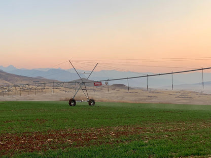 Kezlyn Farm Cottages Bergville Kwazulu Natal South Africa Field, Nature, Agriculture, Lowland