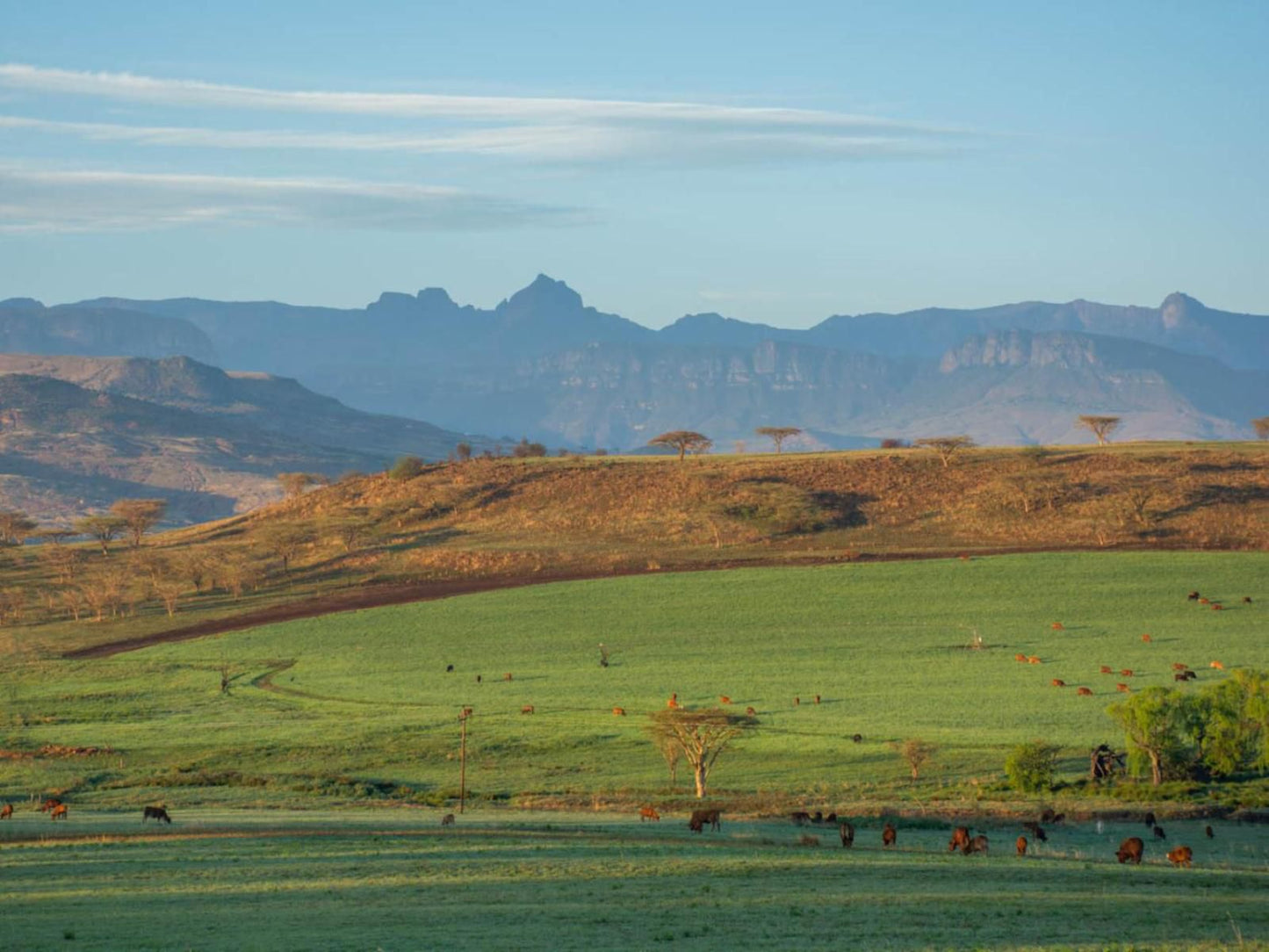 Kezlyn Farm Cottages Bergville Kwazulu Natal South Africa Complementary Colors, Field, Nature, Agriculture