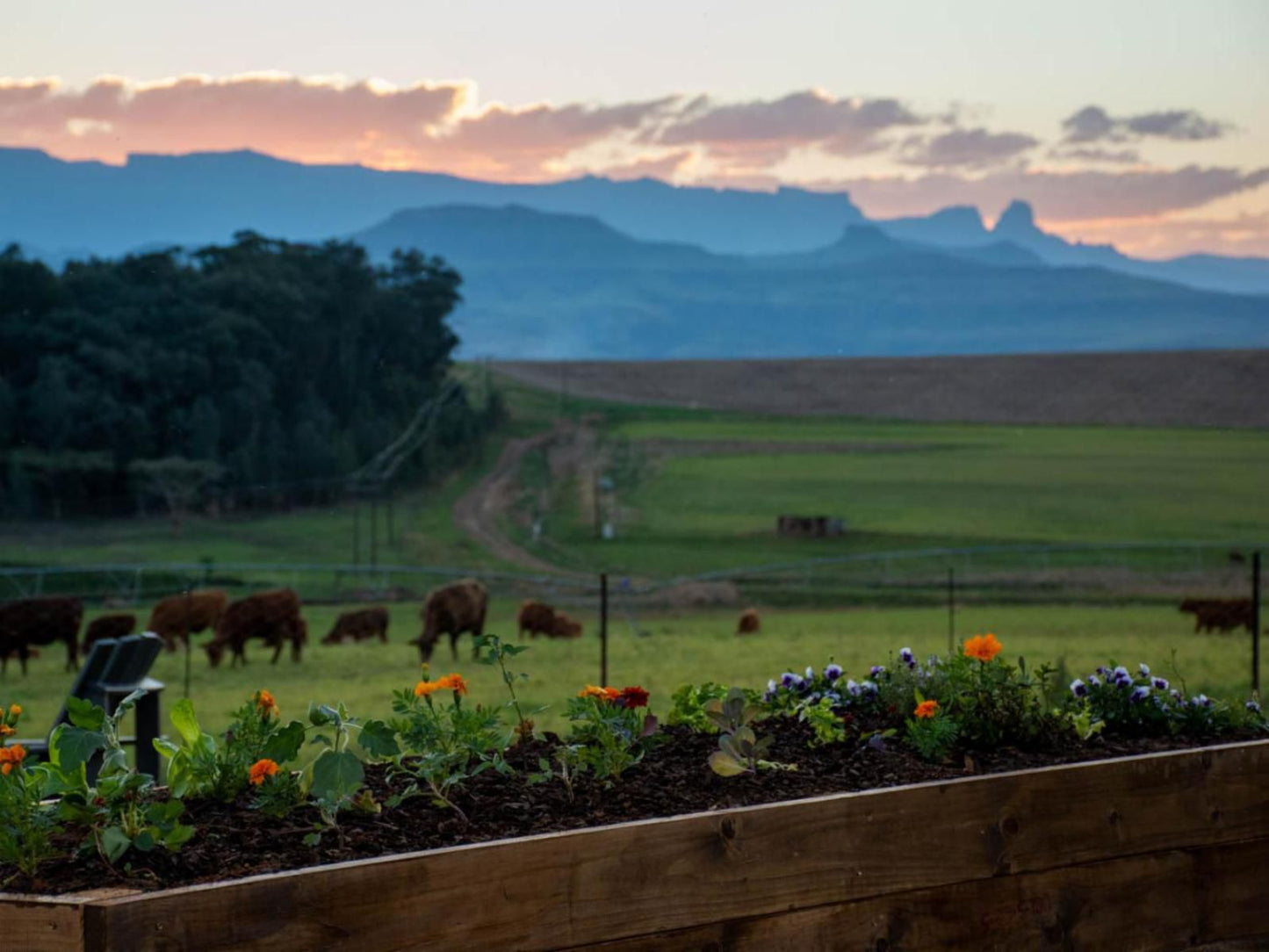 Kezlyn Farm Cottages Bergville Kwazulu Natal South Africa 