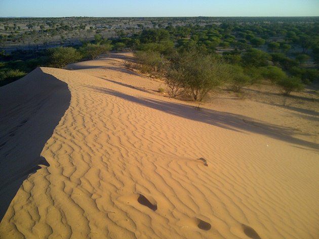 Kgalagadi Lodge Van Zylsrus Northern Cape South Africa Desert, Nature, Sand, Lowland