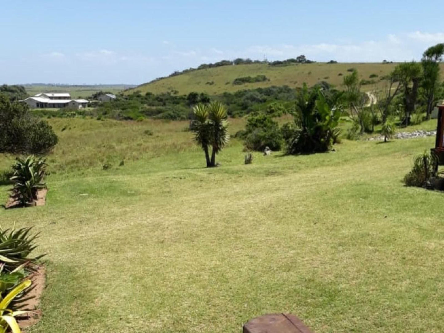 Khala Moya Self Catering Kaysers Beach Eastern Cape South Africa Complementary Colors, Palm Tree, Plant, Nature, Wood