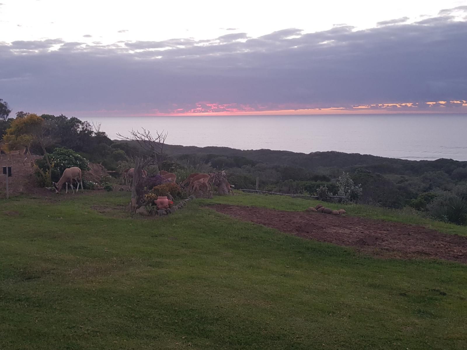 Khala Moya Self Catering Kaysers Beach Eastern Cape South Africa Beach, Nature, Sand