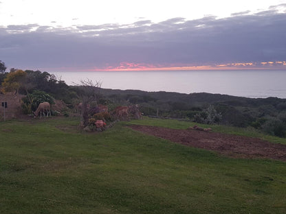 Khala Moya Self Catering Kaysers Beach Eastern Cape South Africa Beach, Nature, Sand