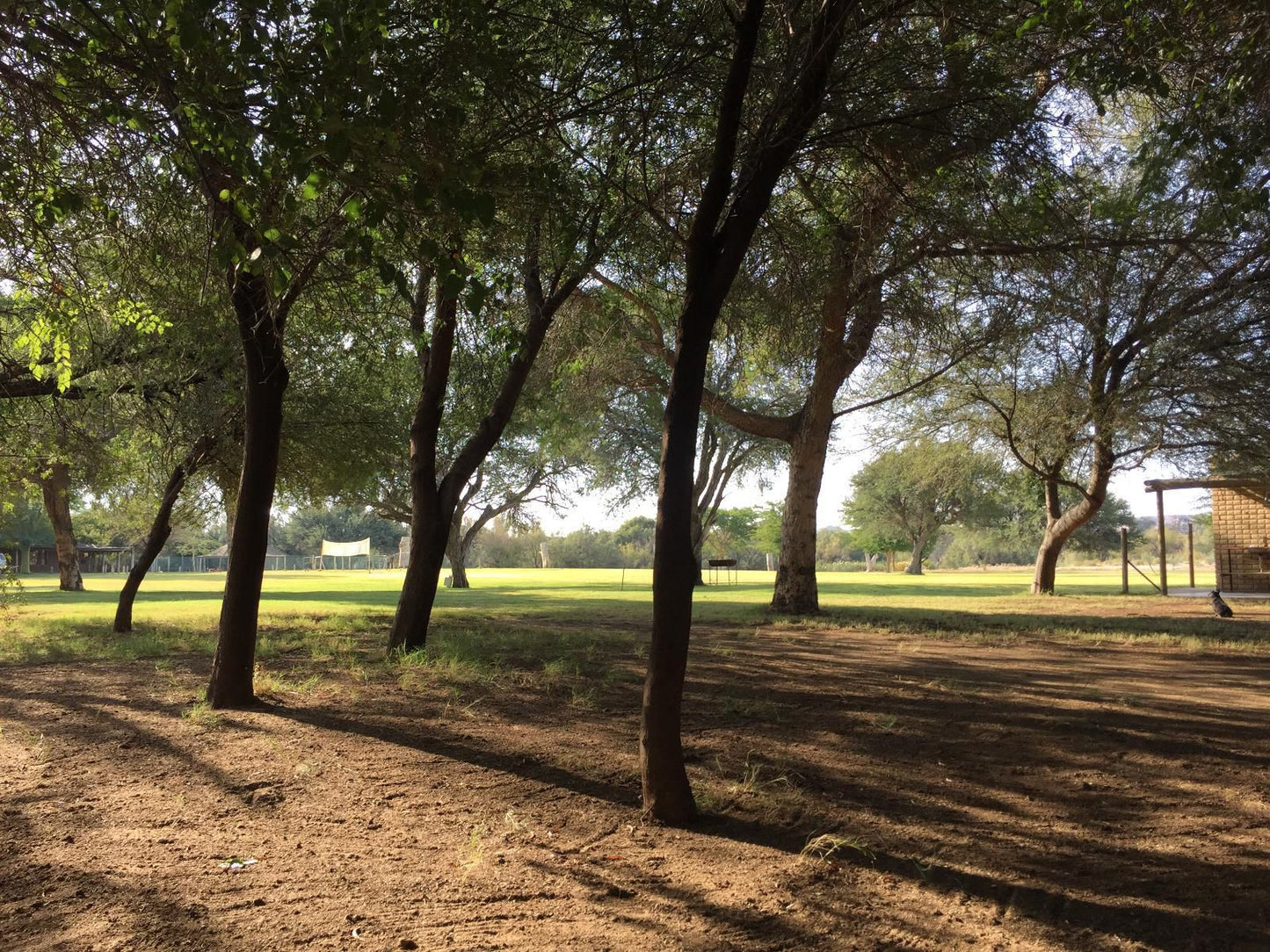 Khamkirri Augrabies Northern Cape South Africa Plant, Nature, Ball Game, Sport, Golfing, Lowland