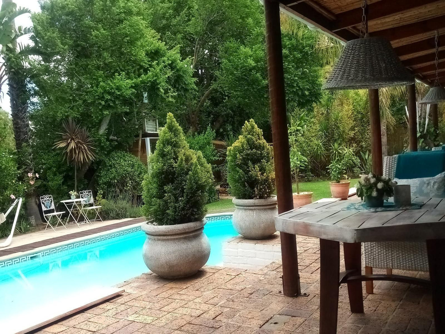 Khasha Mongo Somerset West Western Cape South Africa Garden, Nature, Plant, Swimming Pool