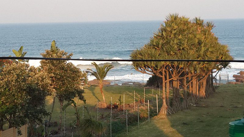 Khaya La Manzi Port Edward Kwazulu Natal South Africa Beach, Nature, Sand, Palm Tree, Plant, Wood, Framing, Ocean, Waters