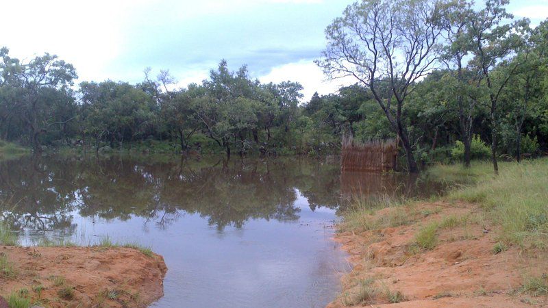 Khaya Nkwe Game And Guest Farm Rankins Pass Limpopo Province South Africa Complementary Colors, Boat, Vehicle, Canoe, Forest, Nature, Plant, Tree, Wood, Railroad, River, Waters, Water Buffalo, Mammal, Animal, Herbivore