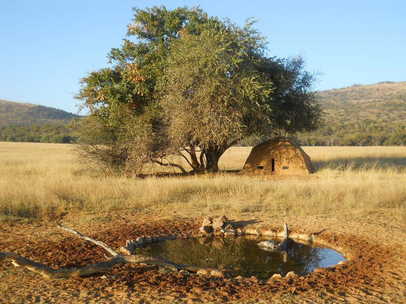 Khaya Nkwe Game And Guest Farm Rankins Pass Limpopo Province South Africa Complementary Colors