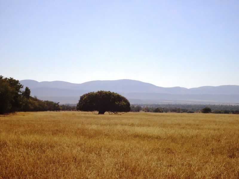 Khaya Nkwe Game And Guest Farm Rankins Pass Limpopo Province South Africa Complementary Colors, Field, Nature, Agriculture, Lowland