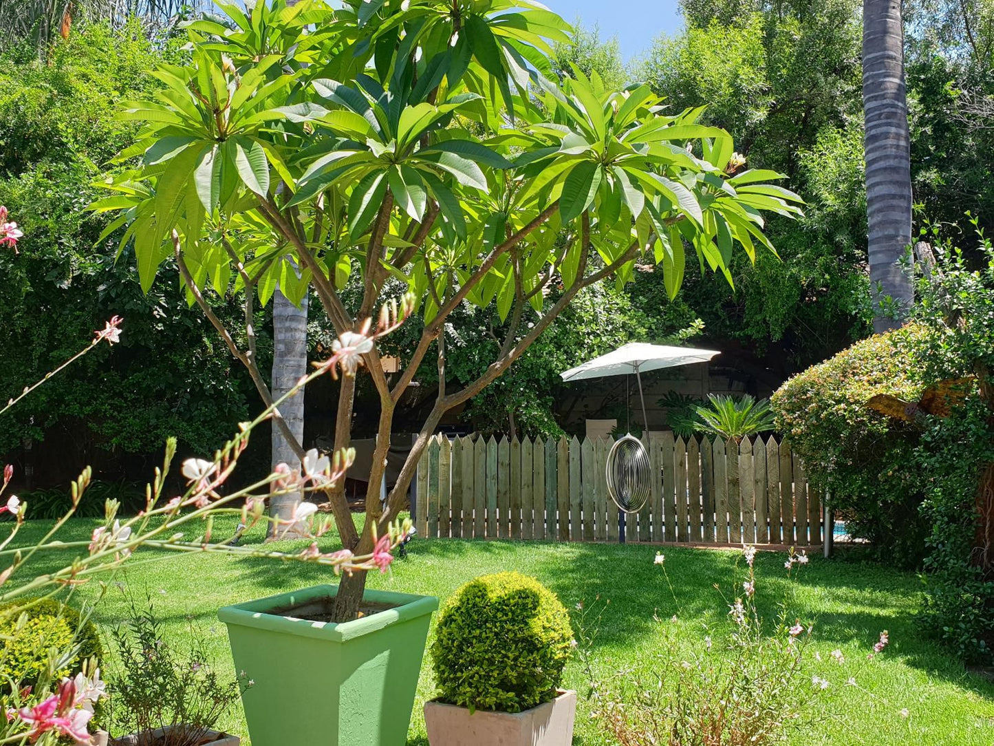 Khayamanzi Guesthouse, Plant, Nature, Garden