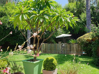 Khayamanzi Guesthouse, Plant, Nature, Garden