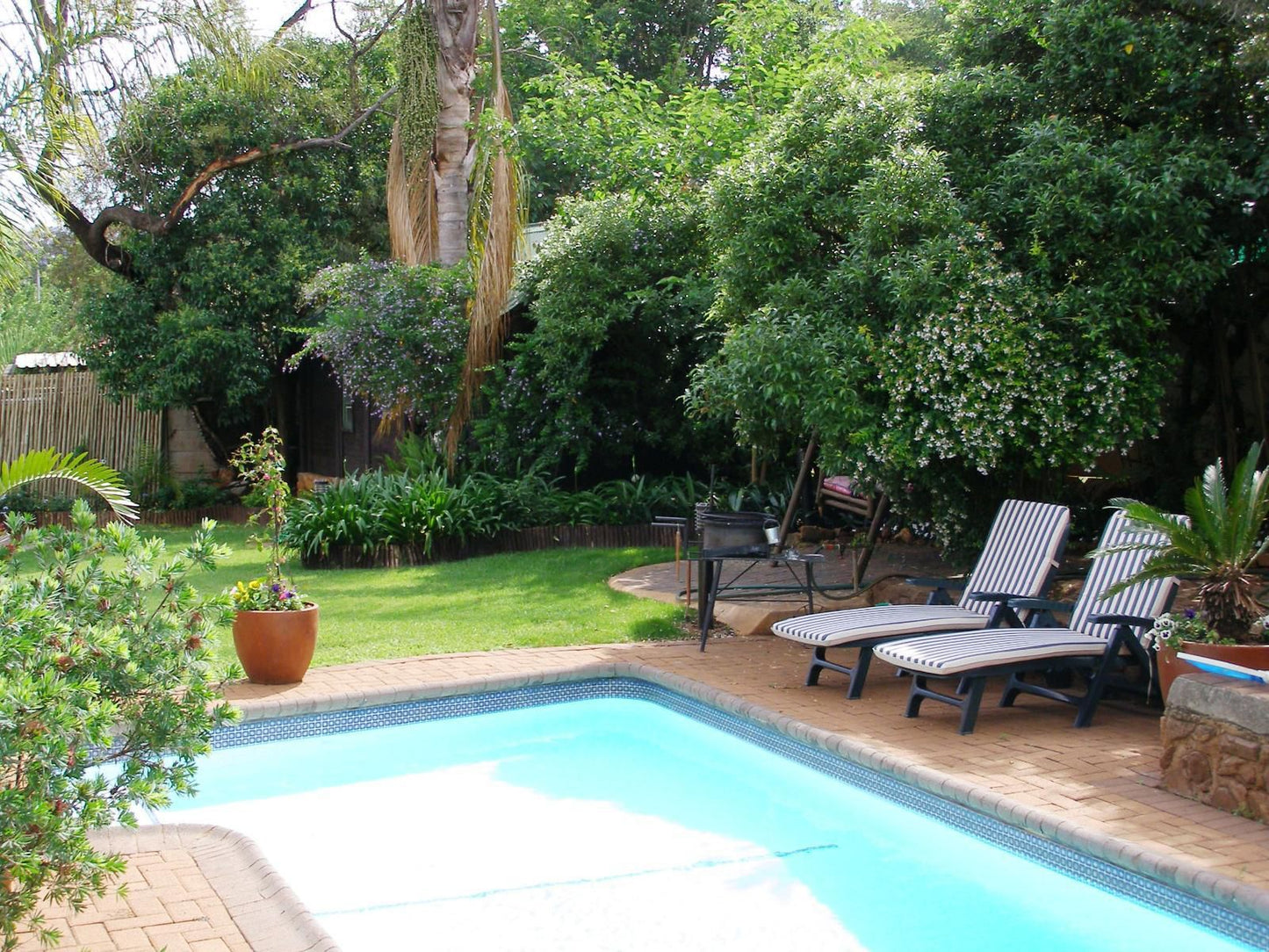 Khayamanzi Guesthouse, Garden, Nature, Plant, Swimming Pool