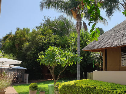 Khayamanzi Schoemansville Hartbeespoort North West Province South Africa Complementary Colors, Palm Tree, Plant, Nature, Wood