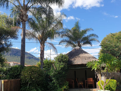 Khayamanzi Schoemansville Hartbeespoort North West Province South Africa Palm Tree, Plant, Nature, Wood