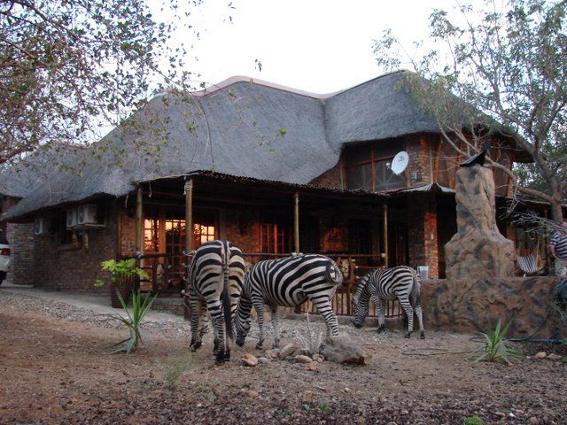 Khaya Umdani Mpumalanga Marloth Park Mpumalanga South Africa Zebra, Mammal, Animal, Herbivore
