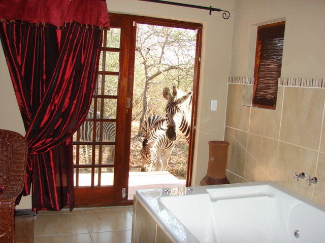 Khaya Umdani Mpumalanga Marloth Park Mpumalanga South Africa Bathroom