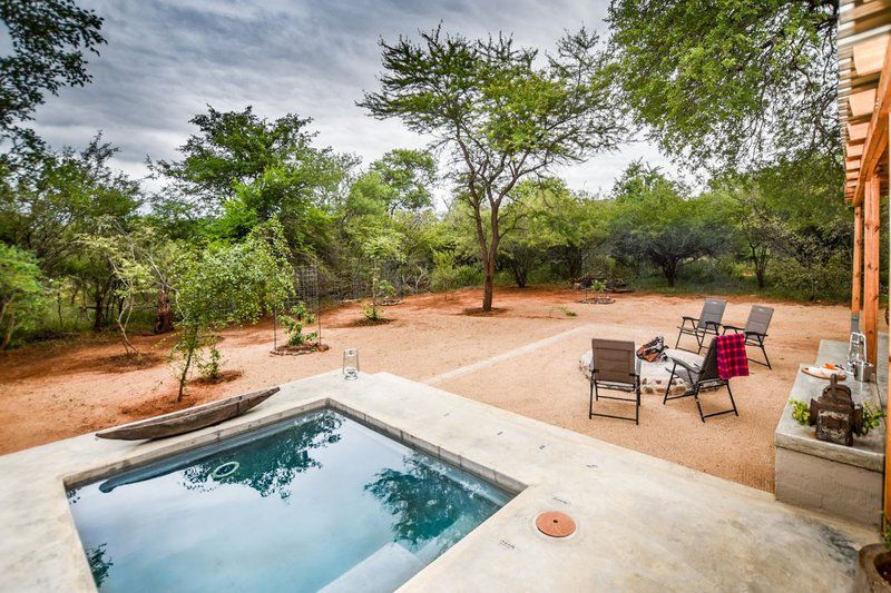 Khiza Bush Retreat Hoedspruit Limpopo Province South Africa Garden, Nature, Plant, Swimming Pool