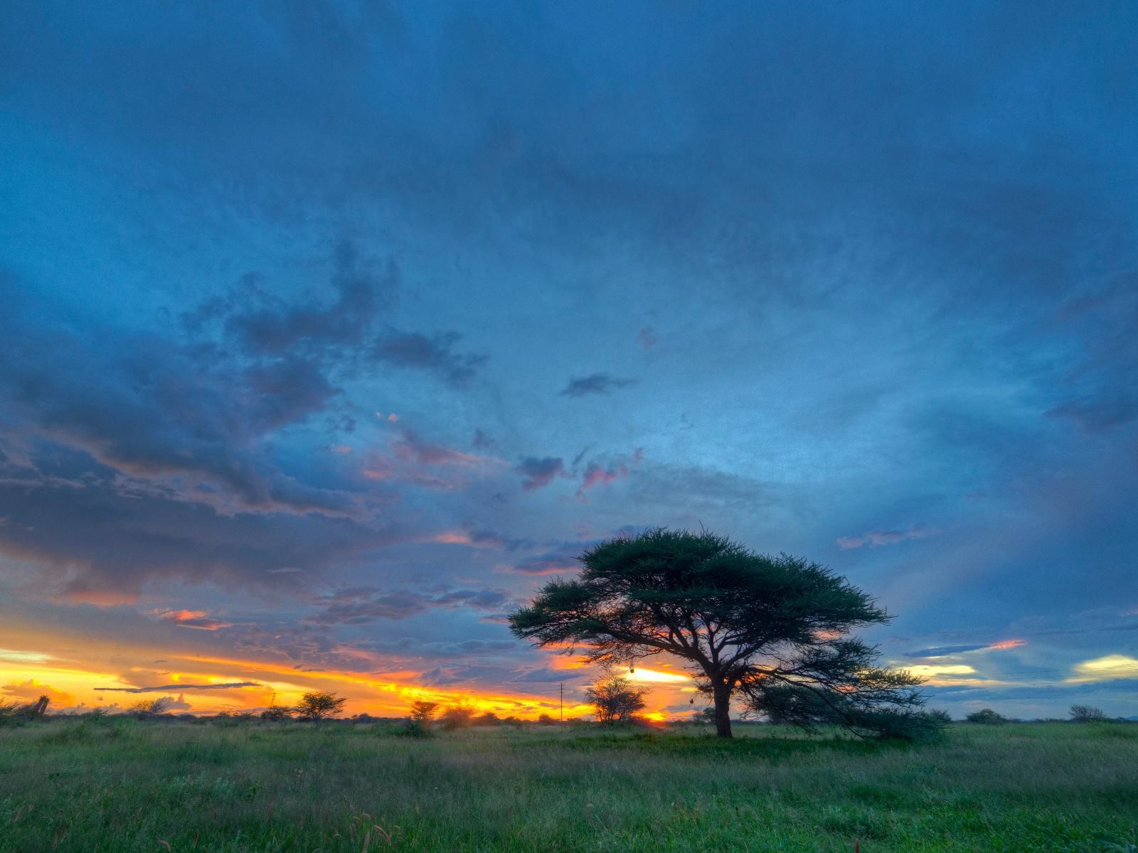 Khoi-Khoi Guesthouse, Lowland, Nature