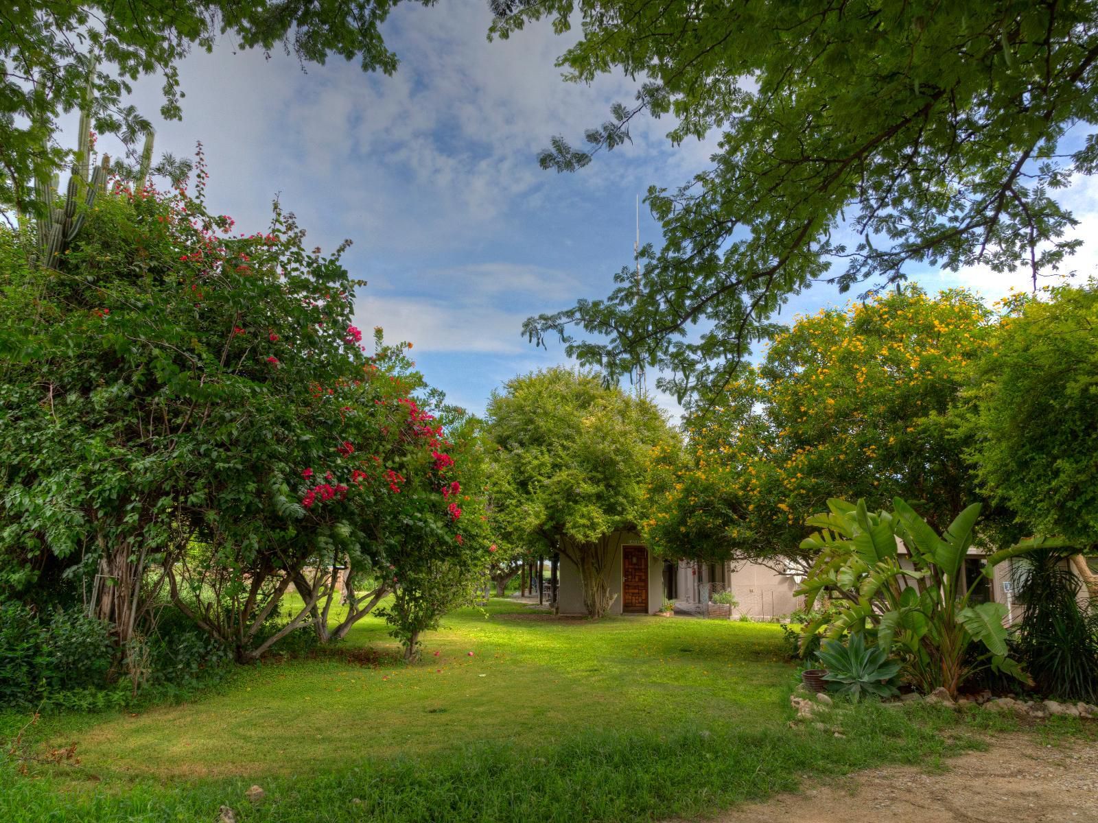 Khoi-Khoi Guesthouse, House, Building, Architecture, Plant, Nature