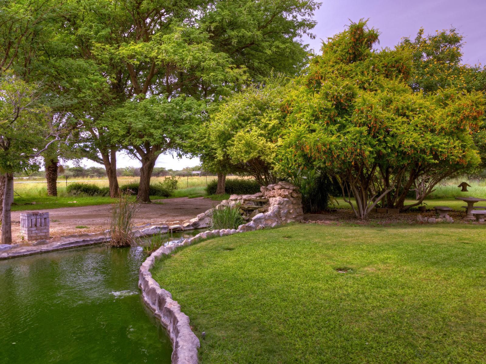 Khoi-Khoi Guesthouse, Plant, Nature, Garden