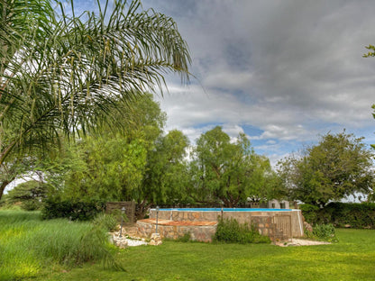 Khoi-Khoi Guesthouse, Garden, Nature, Plant