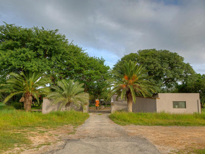 Khoi-Khoi Guesthouse, House, Building, Architecture, Palm Tree, Plant, Nature, Wood