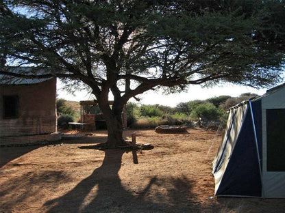 Khoisan Safaris Omdraaisvlei Northern Cape South Africa Tent, Architecture