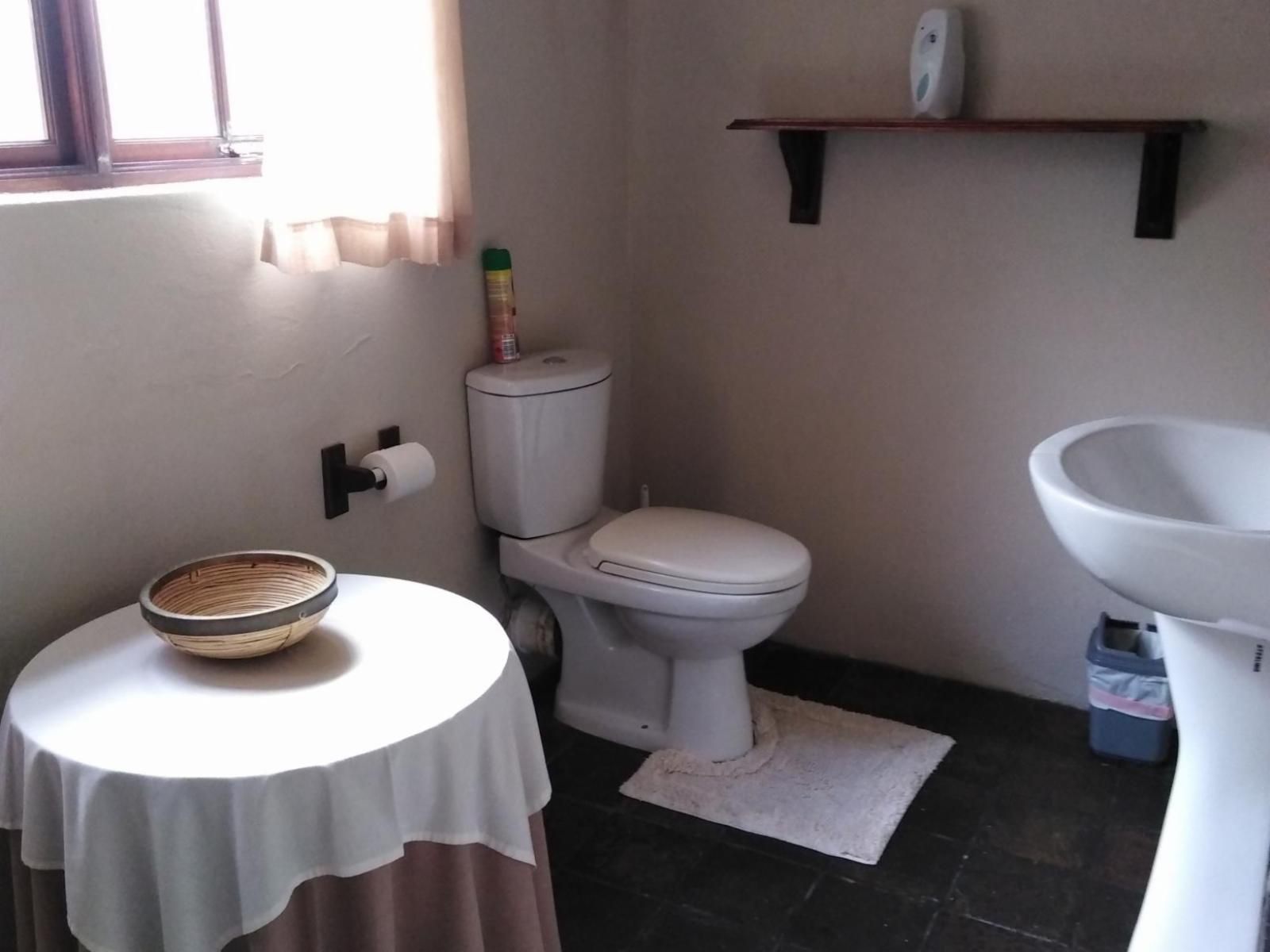 Khokha Moya Guest House Ermelo Mpumalanga South Africa Unsaturated, Bathroom