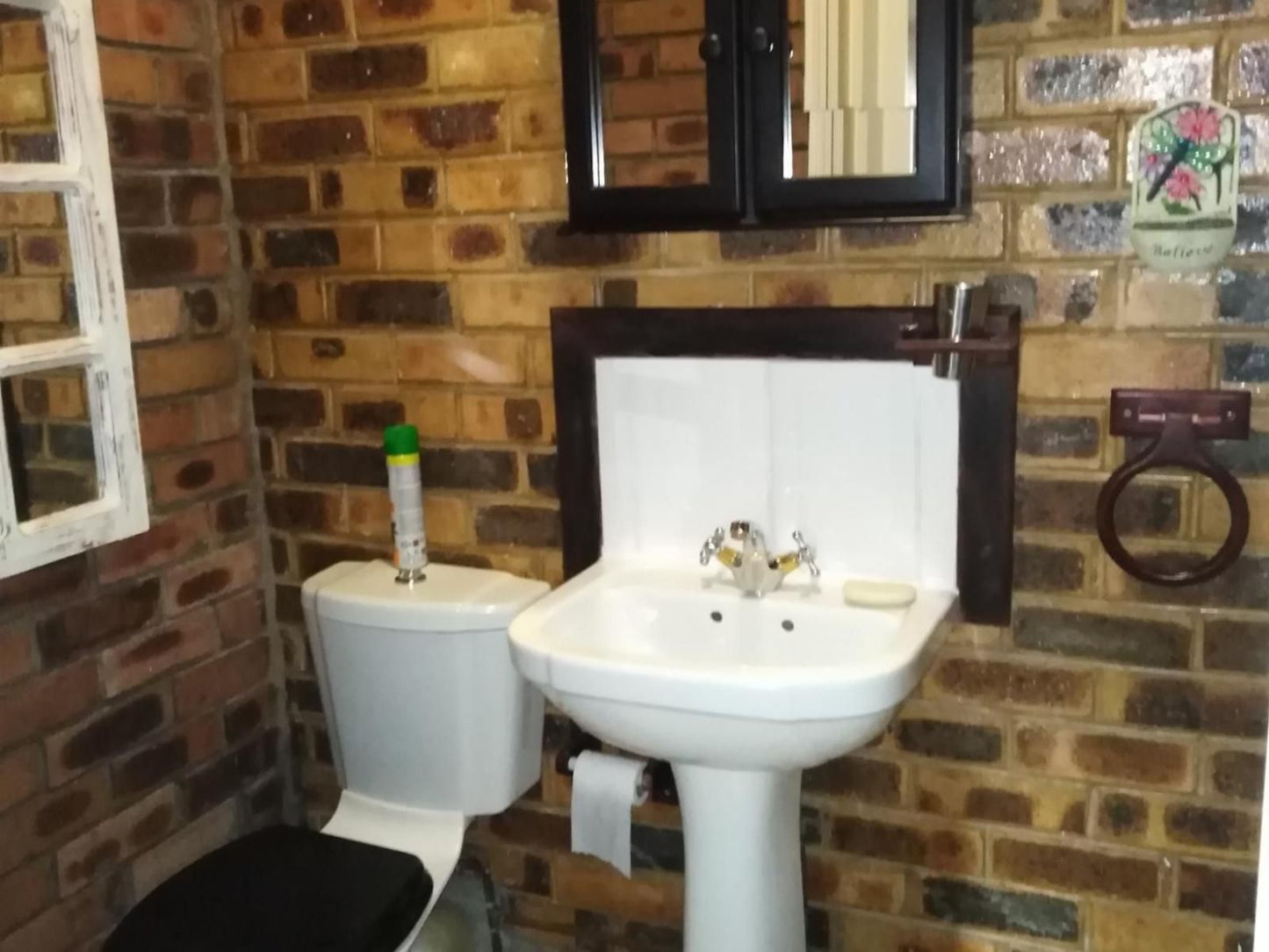 Khokha Moya Guest House Ermelo Mpumalanga South Africa Bathroom
