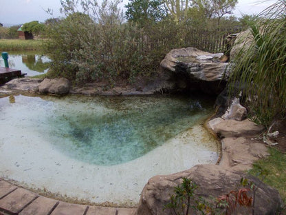 Kholokoe Private Lodge Langholm Bathurst Eastern Cape South Africa Nature, Swimming Pool