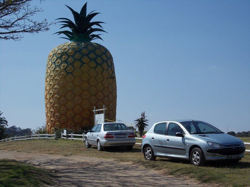 Kholokoe Private Lodge Langholm Bathurst Eastern Cape South Africa Pineapple, Fruit, Food, Car, Vehicle